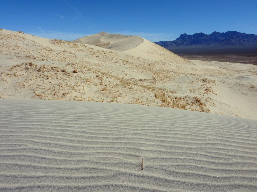 Mojave reserve (14).JPG